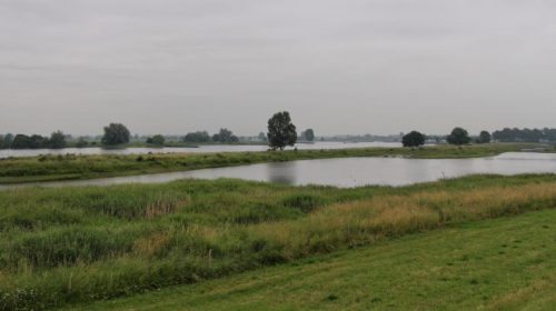 Provincie werkt mee aan mooie en veilige dijk op traject Culemborgse Veer-Beatrixsluis