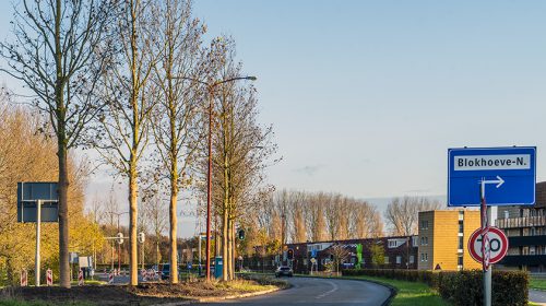 Beschermt de gemeente Nieuwegein het groen voldoende?