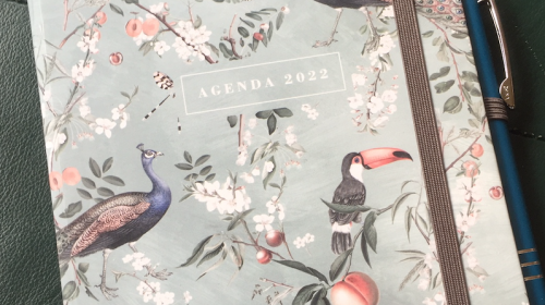 ‘SchrijversPen’ ‘SchrijversPen’