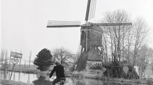 Documentaire over de Oudegeinse poldermolen: ‘Leven van de Wind’