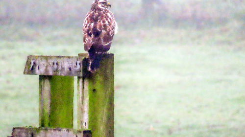 Geslaagde fiets/wandel excursie