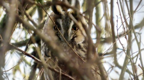 ‘Foto van de week’