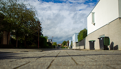 ‘De Johan de Meesterhove’