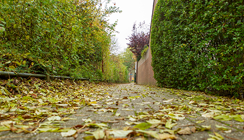 ‘De Meloengaarde’