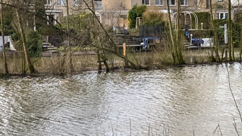 ‘Foto van de week’