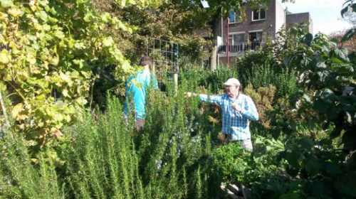 Samenwerken aan een groen en klimaatbestendig Nieuwegein