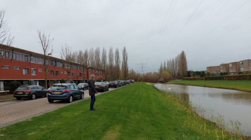 Bloemenweide langs Pieter de Hooghage in Galecop