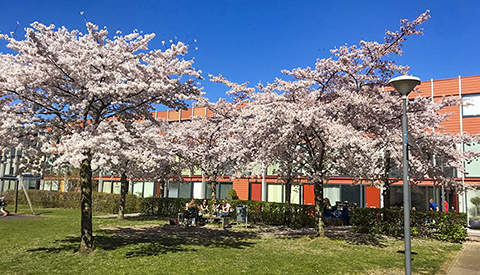 ‘Foto van de week’