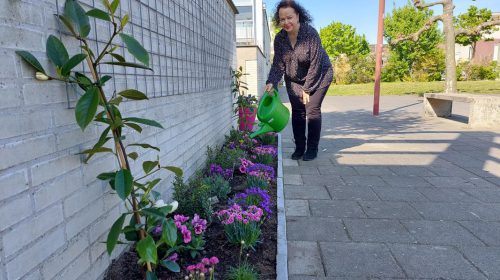 Op buurtsafari door Nieuwegein