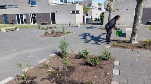 600.000 euro voor groene, gezonde en klimaatbestendige initiatieven