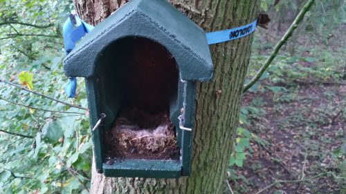 Ecologische bestrijding eikenprocessierups Amsterdam-Rijnkanaal door plaatsing vogelnestkasten