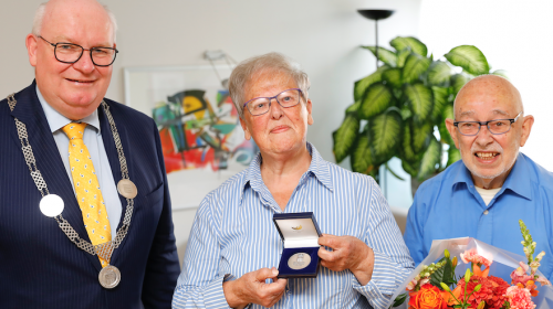 Anna van Rijnpenning voor mevrouw Ina van Doorn-Pol