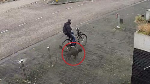 Meer fietsdiefstallen gemeld in Nieuwegein