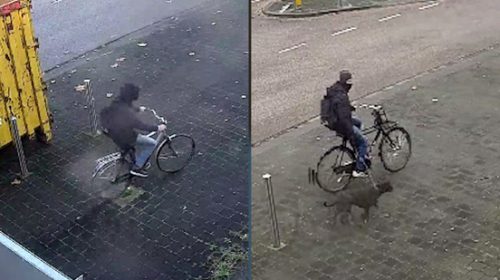 Man met hond op fietsendievenpad aan de Ringwade