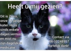 15-jarige Zorro vermist in Zuilenstein