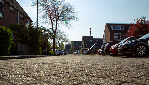 ‘De Moeflonweide’