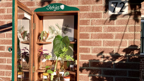 Nieuwegeinse start ‘stekjesbieb’ in de straat