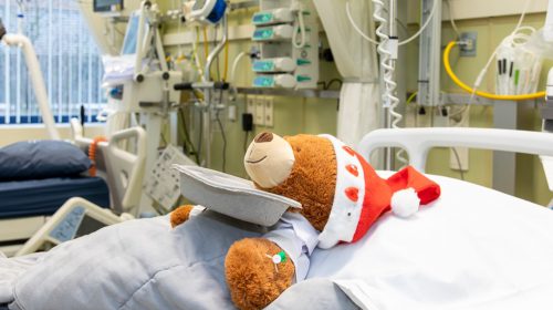 Teddy Bear Hospital in St. Antonius Ziekenhuis Nieuwegein