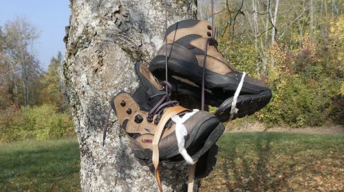 Iedere eerste woensdagochtend van de maand: IVNNatuurWandelen