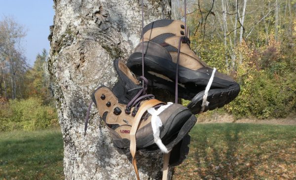 De transformerende kracht van wandelen