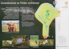 Gratis mee vogels spotten vanuit Nieuwegein, IVN trekt naar de Zouweboezem