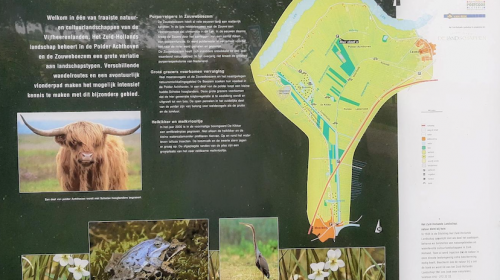 Gratis mee vogels spotten vanuit Nieuwegein, IVN trekt naar de Zouweboezem