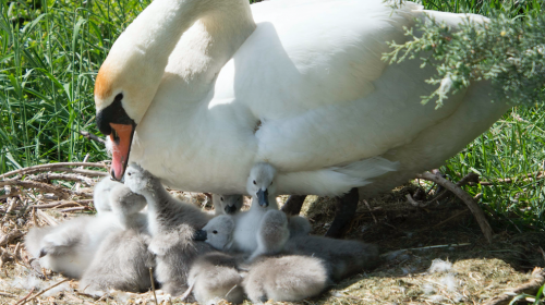 ‘Foto van de week’
