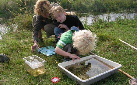 IVN Slootjesdagen komend weekend in Nieuwegein