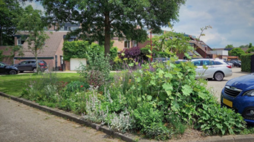 Tineke van den Berg: ‘Zelfbeheer is leuk’