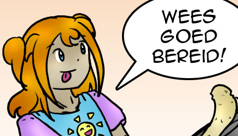 ‘De strip van Kim Houtzager’