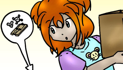 ‘De strip van Kim Houtzager’