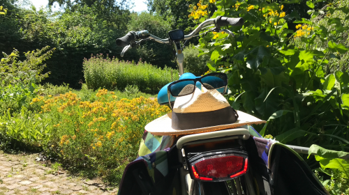 Nieuwegeiners pakken vaak de fiets naar hun werk, maar niet zo vaak als buren in Houten en Utrecht