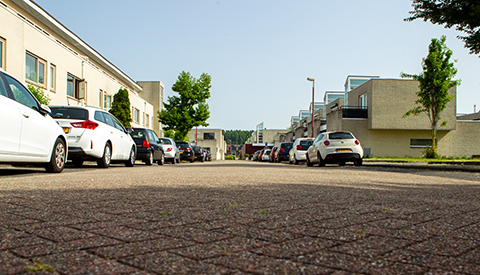 ‘De Pol de Monthove’