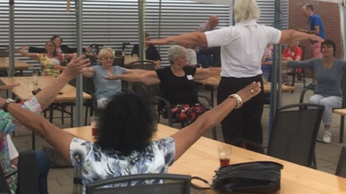 AHN Zomerfestival in teken van bewegen