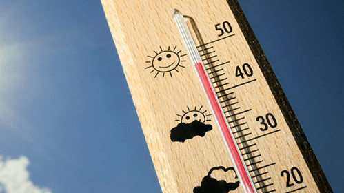 Nieuwegein pakt hittestress aan met groen en slimme plannen