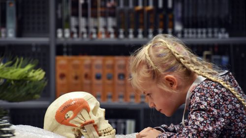 Bijna 100 kinderen vieren Kinderboekenweekfeest in de bieb