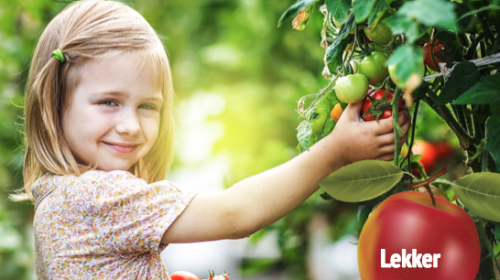 ‘Heerlijk Nieuwegein’ over gezonde en duurzame voeding