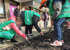 In het voorjaar bloeit het mooier in de Muntenbuurt