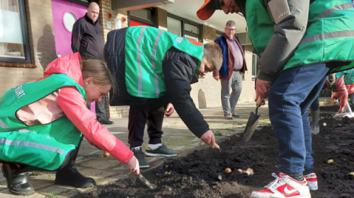 In het voorjaar bloeit het mooier in de Muntenbuurt