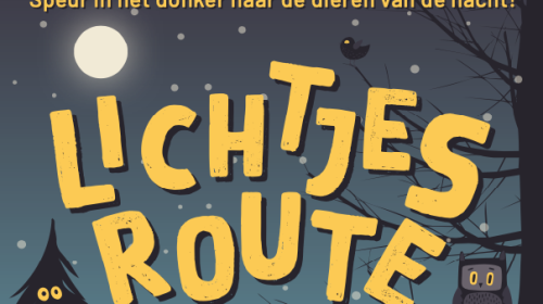 Lichtjesroute door Park Oudegein