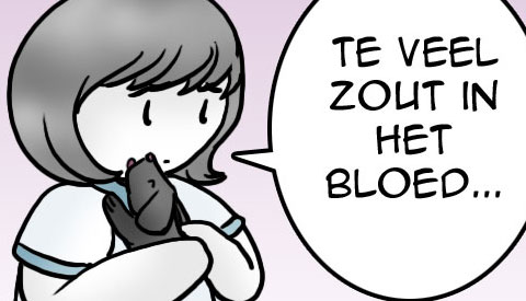 ‘De strip van Kim Houtzager’