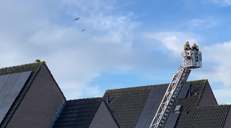 Kat uit benarde positie bevrijd