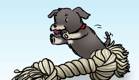 ‘De strip van Kim Houtzager’