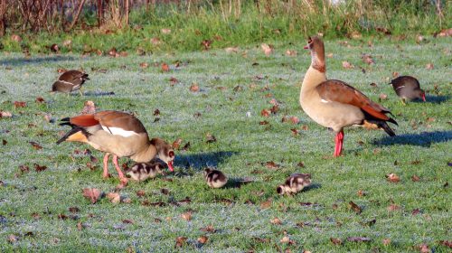 ‘Foto van de week’