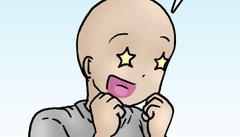 ‘De strip van Kim Houtzager’