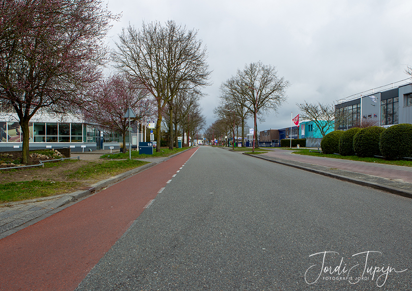 De straat