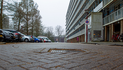 ‘Het Nypelsplantsoen’