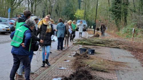 Plan Boom deelt 17.000 bomen uit!