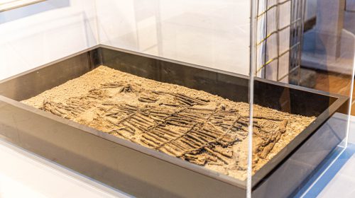 Middeleeuwse visfuik te bekijken in Museum Warsenhoeck