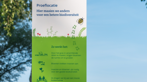 Anders maaien voor een sterkere biodiversiteit